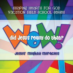 Wow! Did Jesus Really Do That?