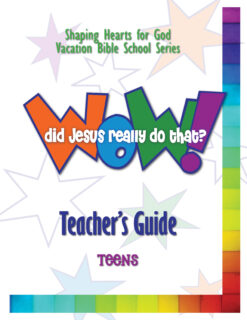 Wow! Did Jesus Really Do That? - Teens - Teacher's Guide