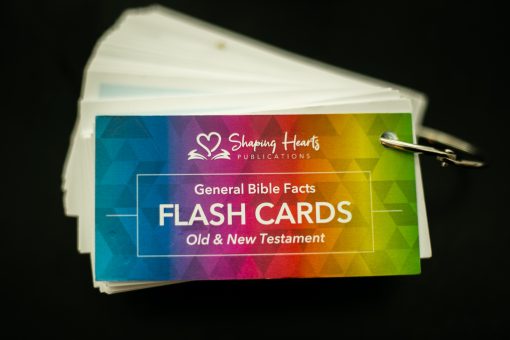 General Bible Facts (Flash Cards) - Image 2