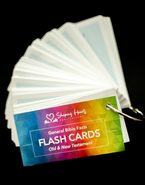 General Bible Facts (Flash Cards) - Image 5